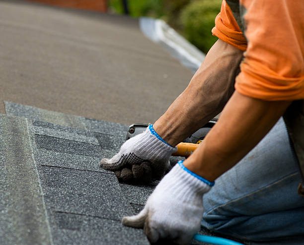 Best Gutter Installation and Roofing  in Wallace, NC