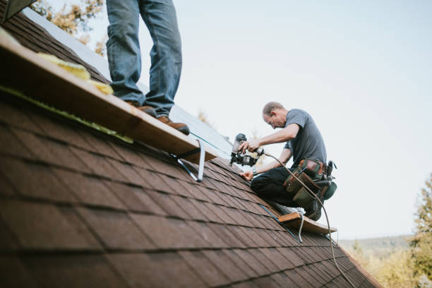 Roof Repair Estimates in Wallace, NC